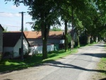 Janov