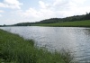 Olešenský rybník